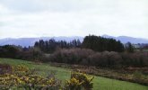 The Kerry Mountains