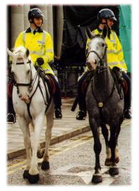 Garda Mounted Unit 
on the streets of Cork