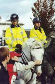 Garda Mounted Unit 
on the streets of Cork