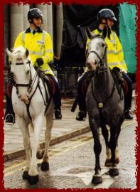 Garda Mounted Unit 
on the streets of Cork