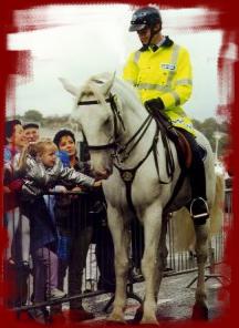 Garda Mounted Unit 
on the streets of Cork
