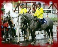 Garda Mounted Unit 
on the streets of Cork