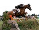 Showjumping at Millstreet